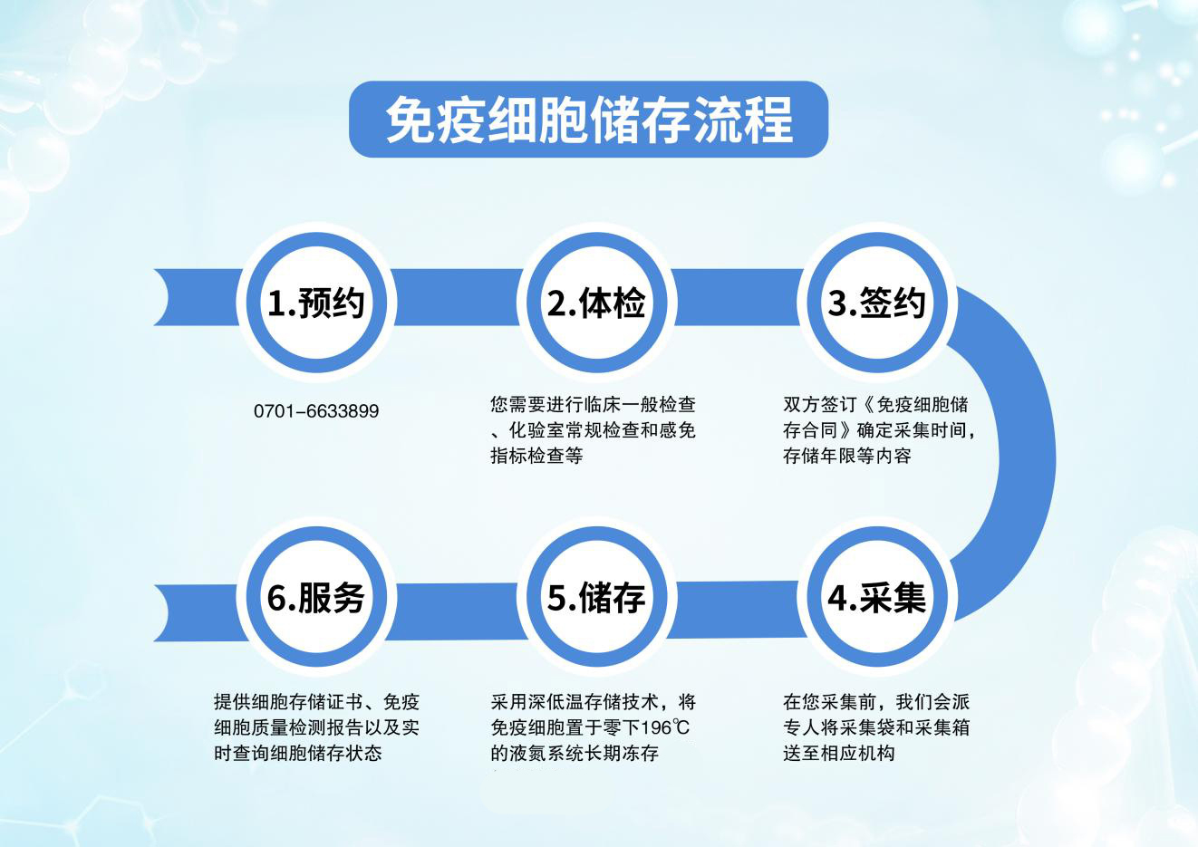 p6.jpg